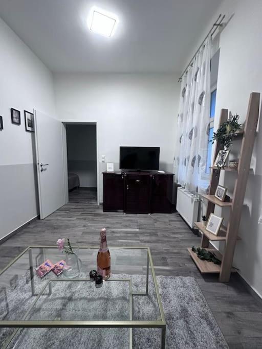Apartamento Cozy Homes Viena